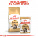 Royal Canin FBN Maine Coon Adult - mokra karma dla dorosłego kota - 12x85 g - Galeria zdjęcie 7