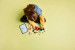 LEGO MINECRAFT 21275 THE TNT JUNGLE HOUSE - Galeria zdjęcie 10