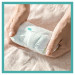 Pampers Pieluchomajtki PANTS 4 Maxi 176 szt - Galeria zdjęcie 7