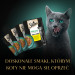 SHEBA Nature's Collection Drobiowe Smaki w galaretce - mokra karma dla kota - 40x85 g - Galeria zdjęcie 6