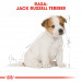 Royal Canin BHN Jack Russel Puppy - sucha karma dla szczeniąt - 3 kg - Galeria zdjęcie 3