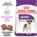 ROYAL CANIN SHN Giant Adult - sucha karma dla psa dorosłego - 15 kg - Galeria zdjęcie 2