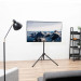 TECHLY STOJAK PODŁOGOWY TRIPOD PRZENOŚNY TV LED/LC - Galeria zdjęcie 8