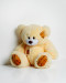 Miś TEDDY 60cm kremowy - Galeria zdjęcie 1