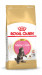 Royal Canin FBN Maine Coon Kitten - sucha karma dla kociąt - 10 kg - Galeria zdjęcie 2