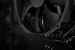 Chł. CPU NOCTUA NH-D15 chromax.black AMD, Intel - Galeria zdjęcie 5