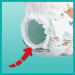 Pampers premium care rozmiar 3 6-11 kg 144 szt. - Galeria zdjęcie 2