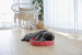 KERBL Scratch Bed Circle - drapak dla kota - 34cm - Galeria zdjęcie 3