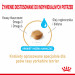 ROYAL CANIN BHN Yorkshire Ageing 8+ - sucha karma dla psa starszego - 3 kg - Galeria zdjęcie 5