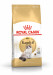 ROYAL CANIN Ragdoll FBN Adult - sucha karma dla kota - 400g - Galeria zdjęcie 1