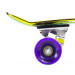 PNB01-RAINBOW-MAXI-06.jpg