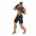 UFC0007_UFC_Max-Holloway_Fig-05_OP_web.jpg