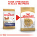 Royal Canin BHN Chihuahua Adult - sucha karma dla psa dorosłego - 1,5 kg - Galeria zdjęcie 8