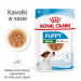 ROYAL CANIN SHN Mini Puppy w sosie - mokra karma dla szczeniąt - 12X85 g - Galeria zdjęcie 11
