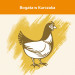 PURINA CAT CHOW Adult Chicken & Turkey 15kg - Galeria zdjęcie 2