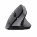 Mysz TRUST BAYO II ERGONOMIC WIRELESS MOUSE BLK (25145) - Galeria zdjęcie 2