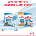 ROYAL CANIN SHN Maxi Starter Mother & Babydog - sucha karma dla psa - 4 kg - Galeria zdjęcie 9
