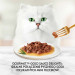Gourmet Gold Sauce Delight z wołowiną - mokra karma dla kota - puszka - 85 g - Galeria zdjęcie 3