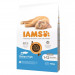 IAMS for Vitality Cat Kitten Ryba Oceaniczna - sucha karma dla kota - 10 kg - Galeria zdjęcie 2