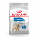 Royal Canin CCN MINI LIGHT WEIGHT CARE - sucha karma dla psa dorosłego - 3kg - Galeria zdjęcie 1