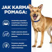 HILL'S PD Canine Digestive Care i/d Low Fat - mokra karma dla psa - 12x360 g - Galeria zdjęcie 3