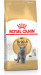 ROYAL CANIN FBN British Shorthair Adult - sucha karma dla dorosłego kota - 2 kg - Galeria zdjęcie 2