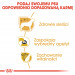 Royal Canin BHN Yorkshire Terrier Adult - sucha karma dla psa dorosłego - 1,5 kg - Galeria zdjęcie 5