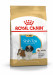 Royal Canin BHN Shih Tzu Puppy - sucha karma dla szczeniąt - 1,5 kg - Galeria zdjęcie 1