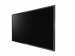AG NEOVO MONITOR 43 QM-4302 4K UHD 3840X2160 HDMIX2 D-SUB USBX2.0 GŁOŚNIK - Galeria zdjęcie 2