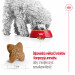 ROYAL CANIN Adult Mini S - sucha karma dla psa - 2 kg - Galeria zdjęcie 14