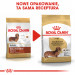 ROYAL CANIN BHN Dachshund Adult - sucha karma dla psa dorosłego - 7,5kg - Galeria zdjęcie 7