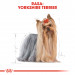 ROYAL CANIN BHN Yorkshire Terrier Adult - sucha karma dla psa - 3 kg - Galeria zdjęcie 3