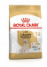 labrador-retriever-5-packshot-b1-bhn20.jpg