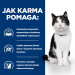 HILL"S Prescription Diet Digestive Care i/d Feline z łososiem - mokra karma dla kota - 12x85 g z rabatem - 4% - Galeria zdjęcie 5
