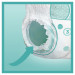 08006540069622_81748928_ECOMMERCECONTENT_SECONDARYIMAGE_TOPDOWN_CENTER_1_Pampers.jpg