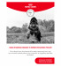 ROYAL CANIN Training Treats - przysmak dla psa - 110g - Galeria zdjęcie 8