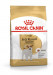ROYAL CANIN BHN Jack Russell Terrier Adult - sucha karma dla psa dorosłego - 7,5 kg - Galeria zdjęcie 2