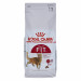 ROYAL CANIN FHN Regular Fit 32 - sucha karma dla kota dorosłego - 2 kg - Galeria zdjęcie 3