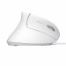 Mysz TRUST Verto ERGO vertical ergonomic White (25133) - Galeria zdjęcie 6