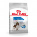 ROYAL CANIN CCN MEDIUM LIGHT WEIGHT CARE - sucha karma dla psa dorosłego - 3kg - Galeria zdjęcie 9