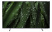 TVASA1LCD0496_4.jpg