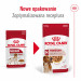 ROYAL CANIN SHN Medium Adult w sosie - mokra karma dla psa dorosłego - 10x140 g - Galeria zdjęcie 12