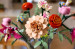LEGO ICONS 10342 Botanicals - Piękny bukiet różowych kwiatów - Galeria zdjęcie 10