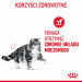 ROYAL CANIN FCN Urinary Care - sucha karma dla kota dorosłego - 4kg - Galeria zdjęcie 5