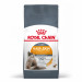 ROYAL CANIN Hair&Skin Care Adult - sucha karma dla kota - 400g - Galeria zdjęcie 1