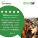 VETOQUINOL Drontal - tabletki przeciw pasożytom dla kota - 2 szt. - Galeria zdjęcie 5