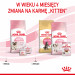 ROYAL CANIN Mother & Babycat 34 2kg - Galeria zdjęcie 12
