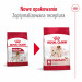 ROYAL CANIN SHN Medium Adult - sucha karma dla psa - 15 kg - Galeria zdjęcie 4