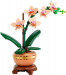 LEGO ICONS 10343 Botanicals - Mała orchidea - Galeria zdjęcie 3