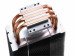 1120587|4|ProductImage|2017-02-06 20:47:42